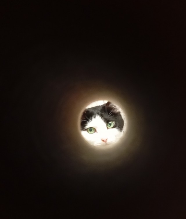 Скиньте рандомную хрень