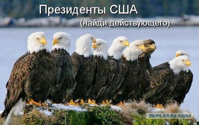 Три пакета санкций против России.