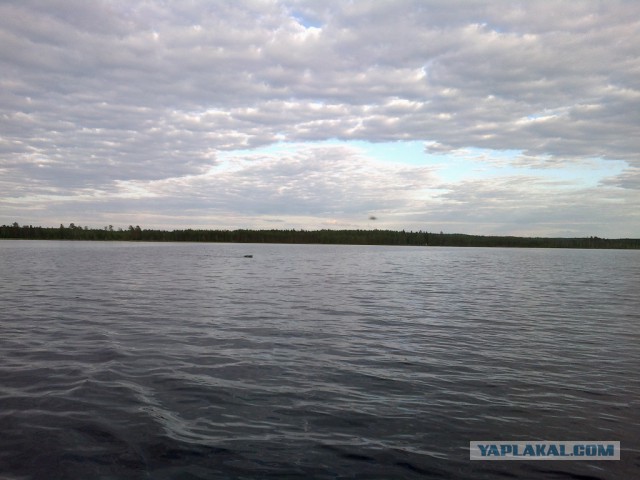 Карелия.Рыбалка на глухом лесном озере.Июнь 2014