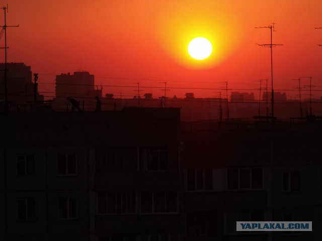 15 любительских фотографий