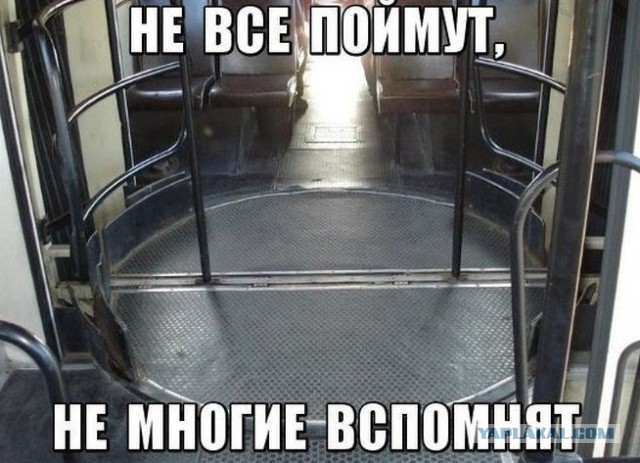 А козлы ли маршрутчики?