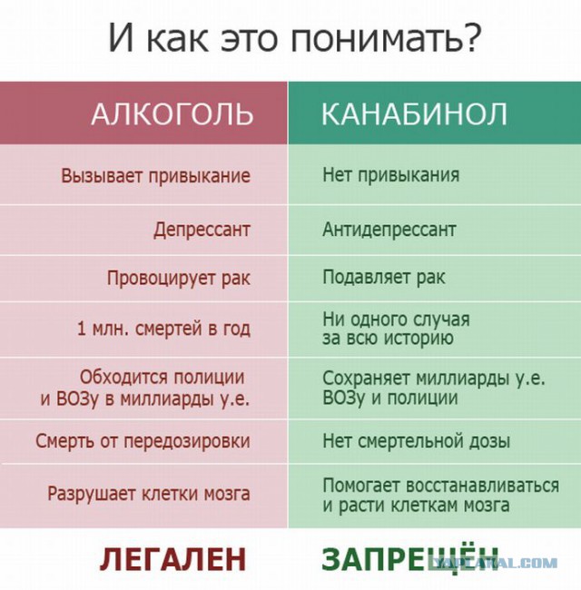 Чиста как ангел