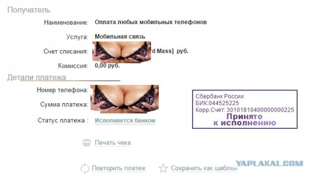 Паника в селе