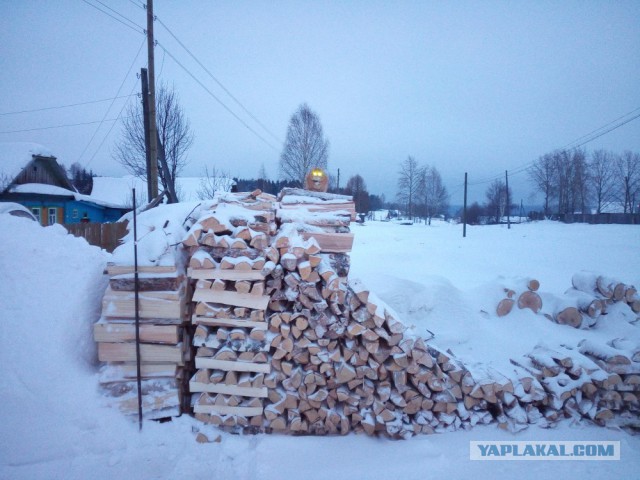 Котовторник 24.03.2015