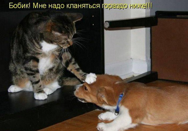 Картинки с буквами -11