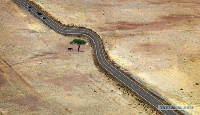 Товарищеская помощь