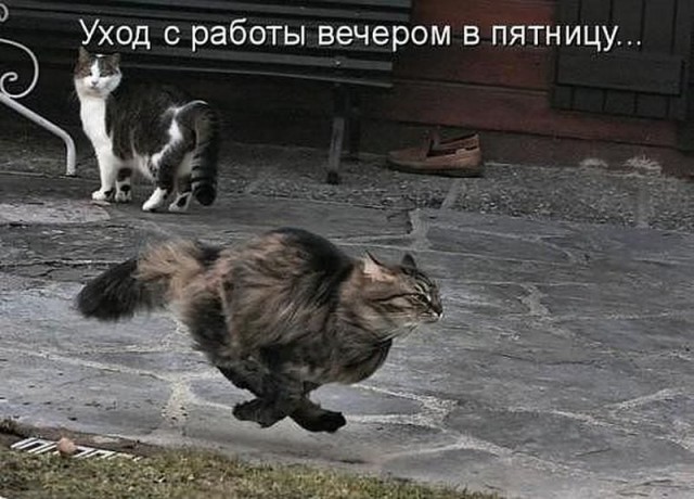 Мемы вспоминаем и добавляем....