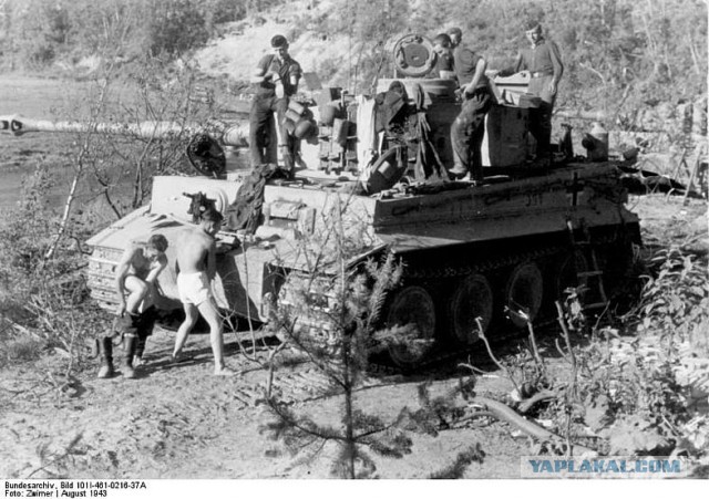Wargaming 29