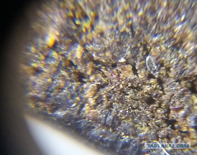 Мир в миллиметре