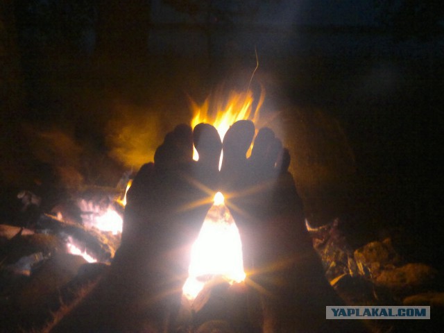 Свежая подборка красивых фото