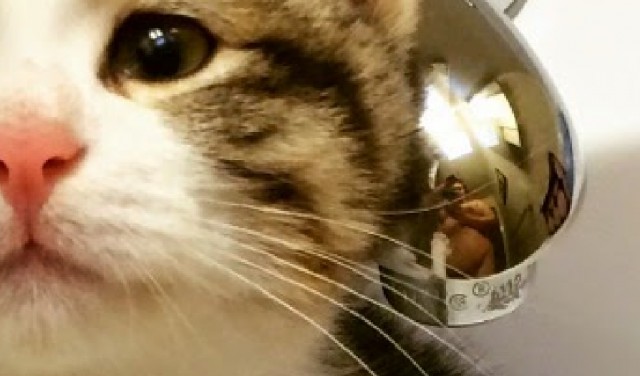 Безысходность как она есть