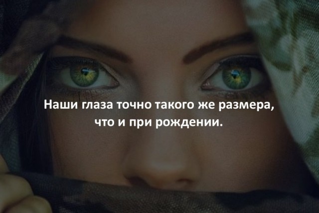 40 интересных фактов в картинках.