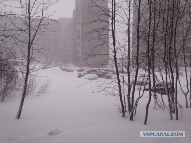 Санкт-Петербург. Апрель