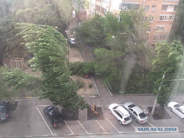 В Москве ураган!