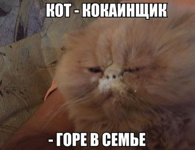 "Слегка" чёрный и абсурдный юморок