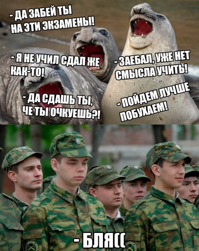 Смешные картиночки с интернетов