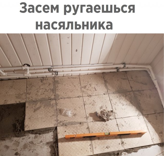 Картинки всякие для поднятия настроения