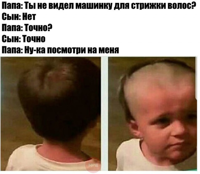 Порция картинок