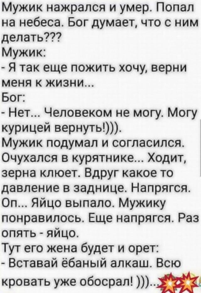 Беседа голландского корреспондента с фермером превратилась в истерику и неудержимый хохот