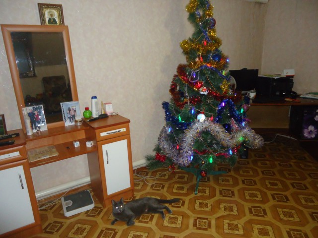 А давайте Ёлками меряться!?