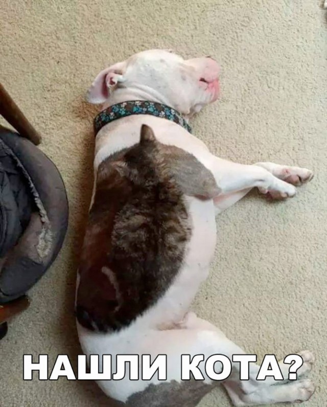 Открываю сундучок с тупежом