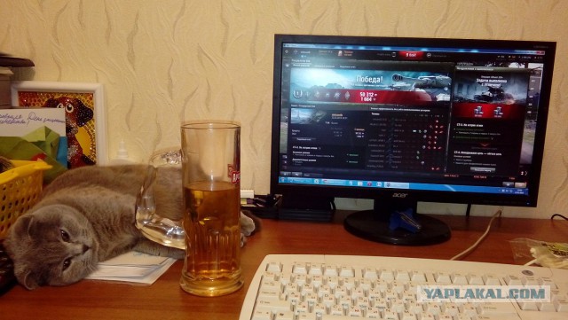 Wargaming 52