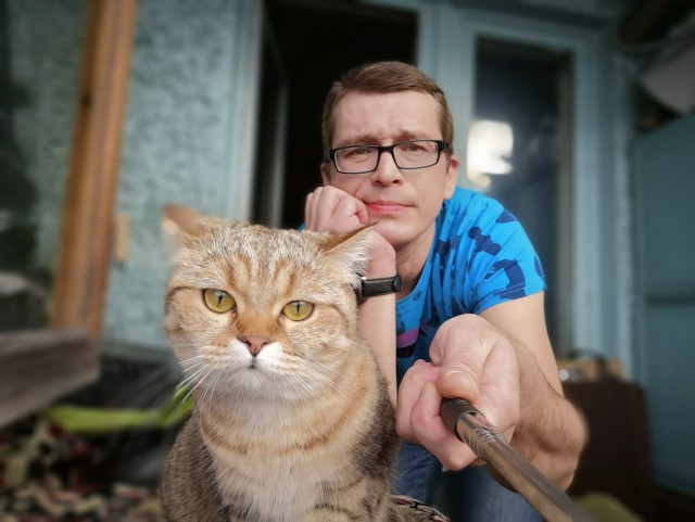 Котовторник 05.06.2018