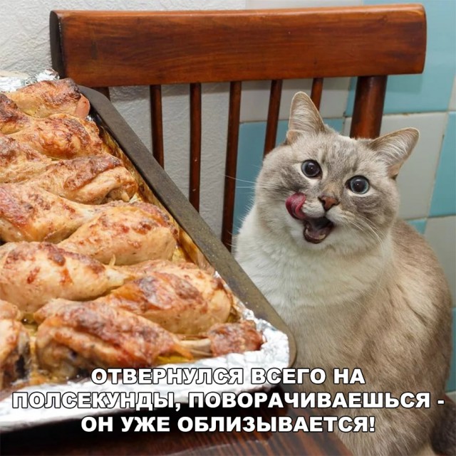 Немного милоты