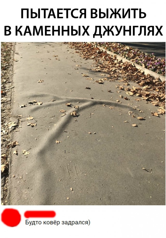 Нестандартный юмор