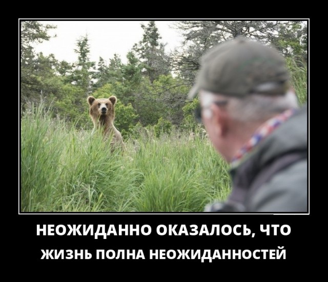 Картинки в рамках с надписями