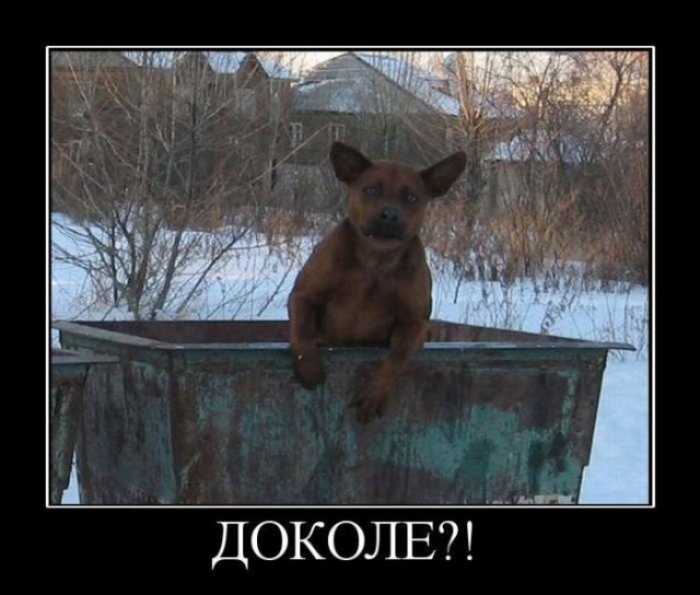 Как бабы мужика делили