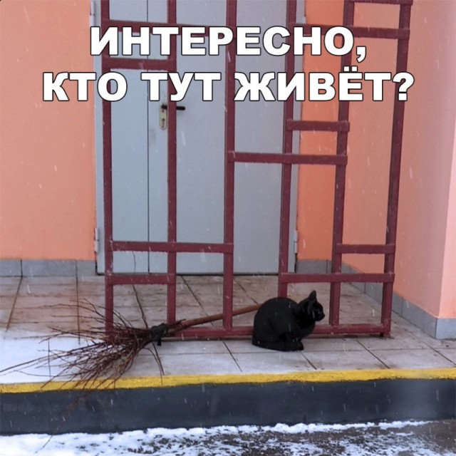 Нестандартный юмор