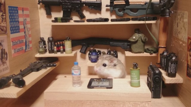 Подборка интересных и веселых картинок 16.04.19