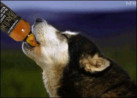 Средопятница!