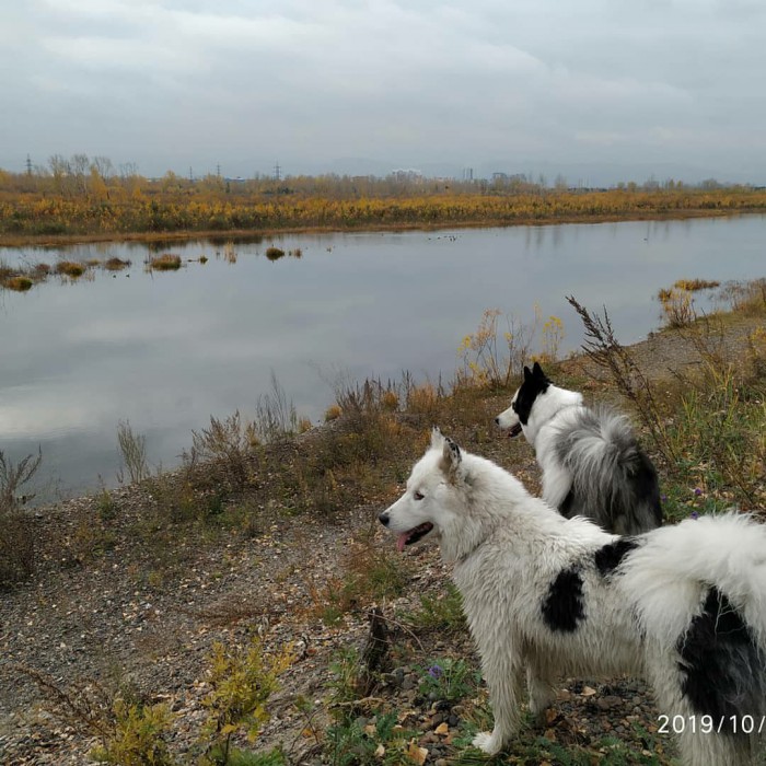Сам себе фотограф