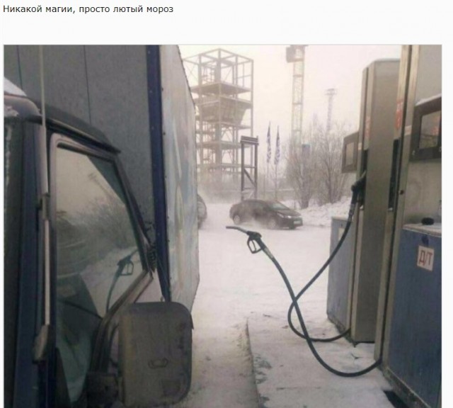 30 забавных фотографий, чтобы ваш день стал немножечко лучше