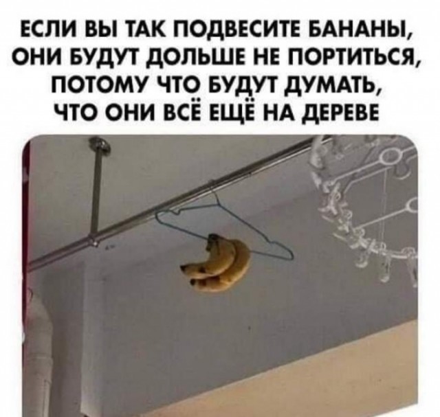 Бредзона 12.01.20