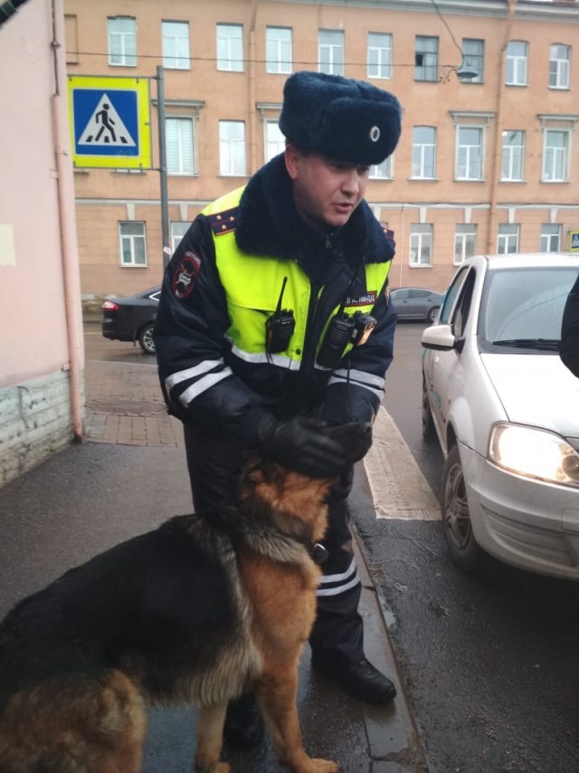 В Калининграде хаски в свитере ежедневно ждёт хозяйку у работы по 8 часов. Ей пришлось повесить обращение к прохожим