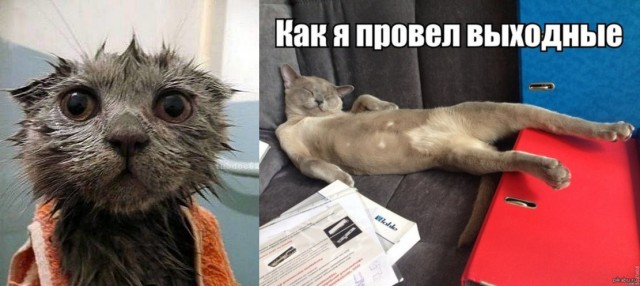 ЯПокатуры от tubdoc62