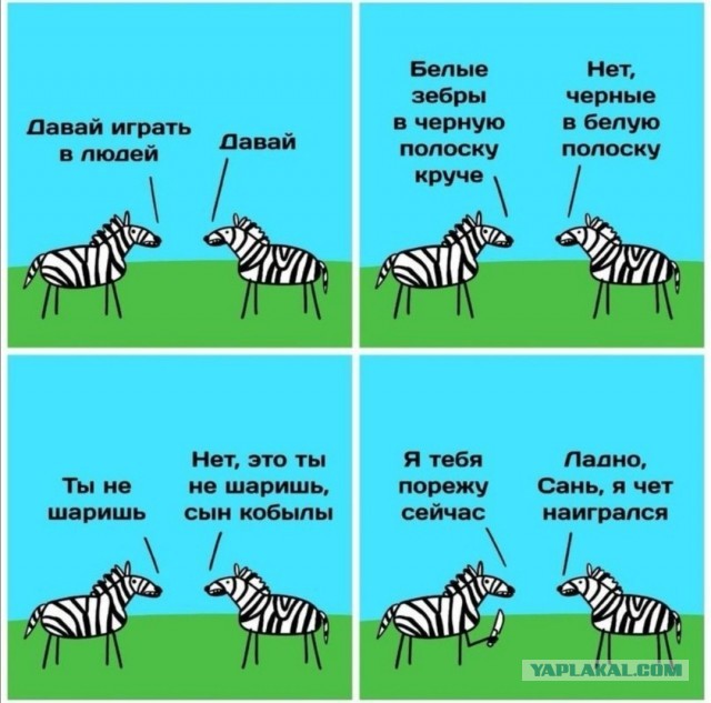 Бредзона 10.11.2020