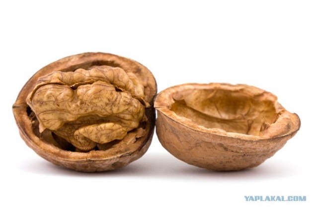 Белка