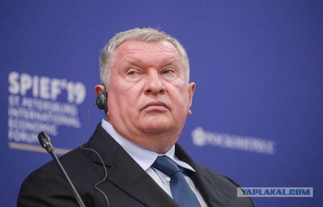 Рыба-камень: Кошмар геолога или курортная мина. Вроде обычный булыжник лежит и вот, — ты уже в больнице