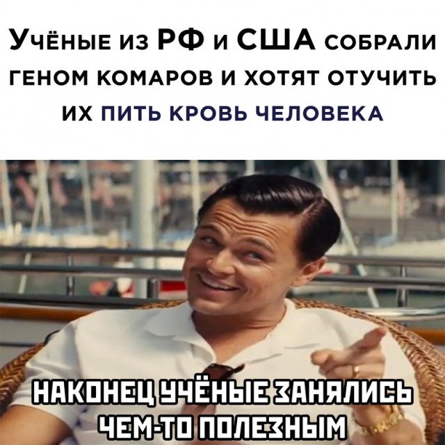 Весёлый полтишок 25.03
