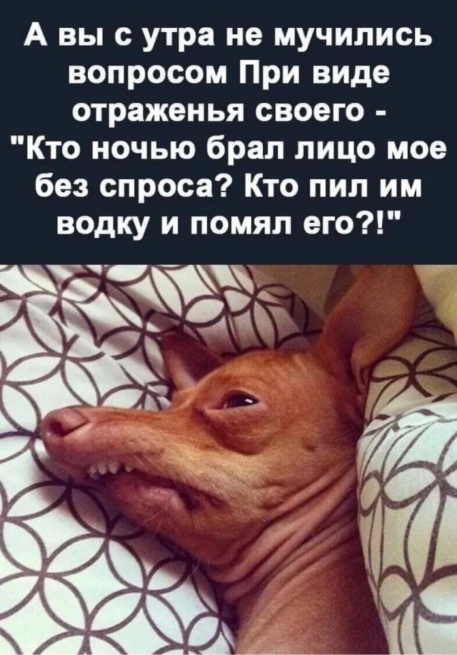 Весёлый полтишок 25.05