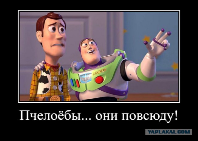 Качаем медок ЯПовцы!