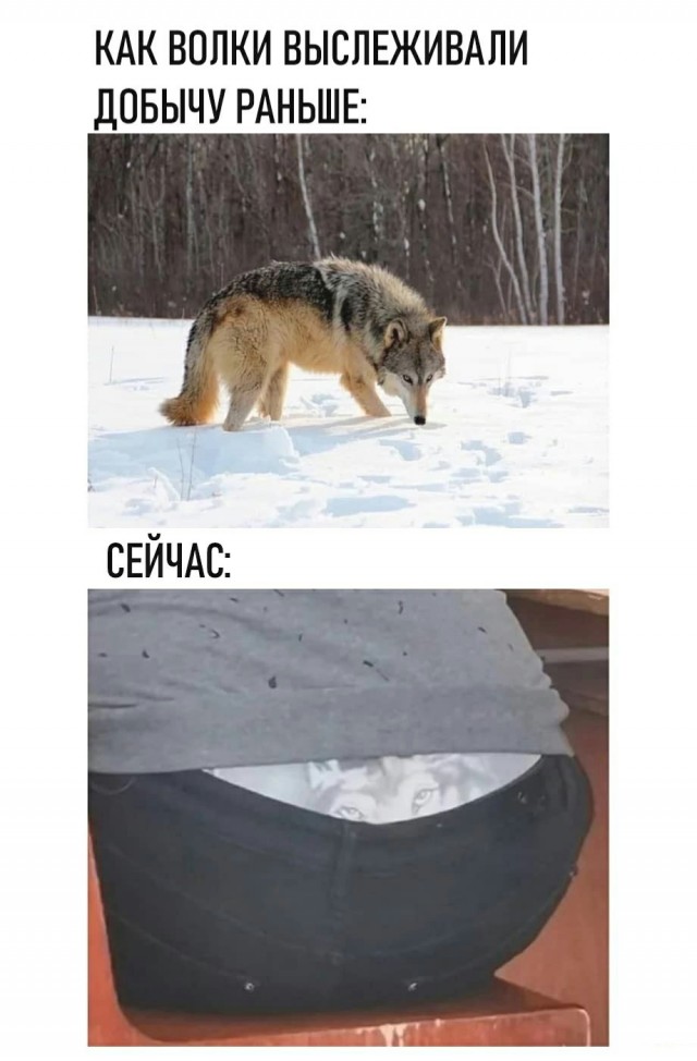 Аморальная деградация