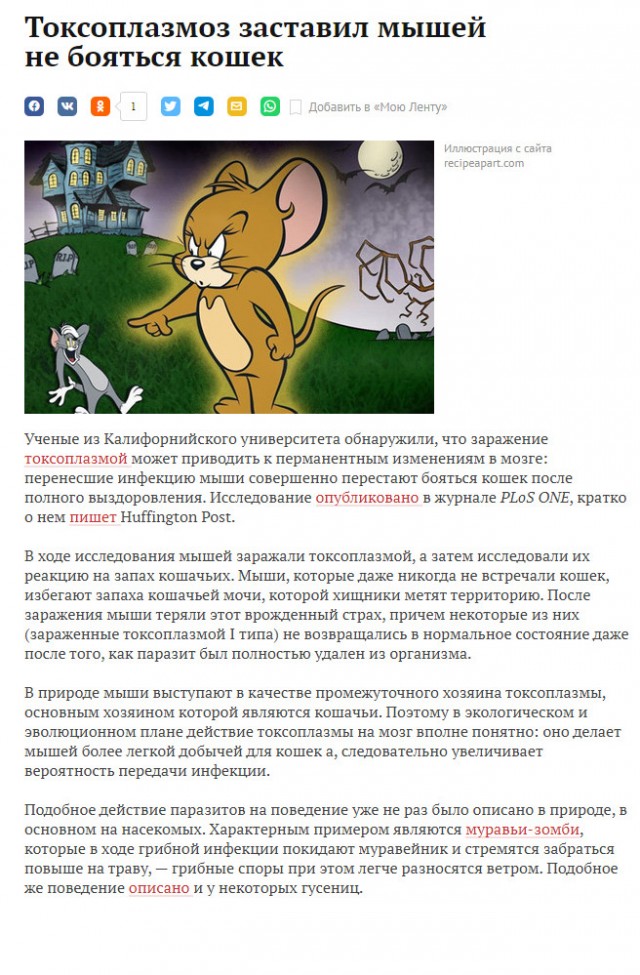 Пандемия. Коронавирус. Россия и мир. Последняя информация. Часть 22