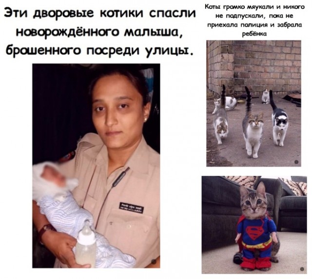 Всяческие картинки 10.12.2021