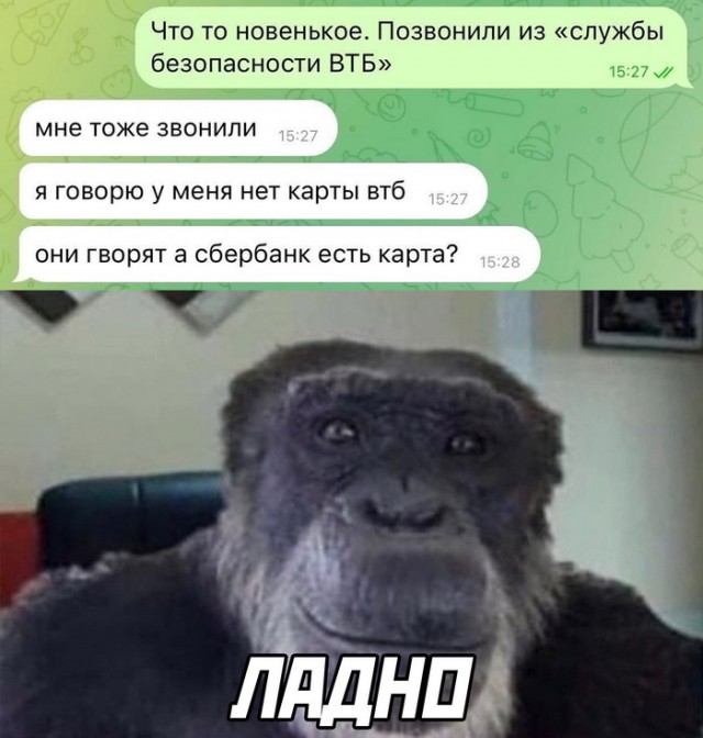 Картинки и мемы для настроения 21.12.21