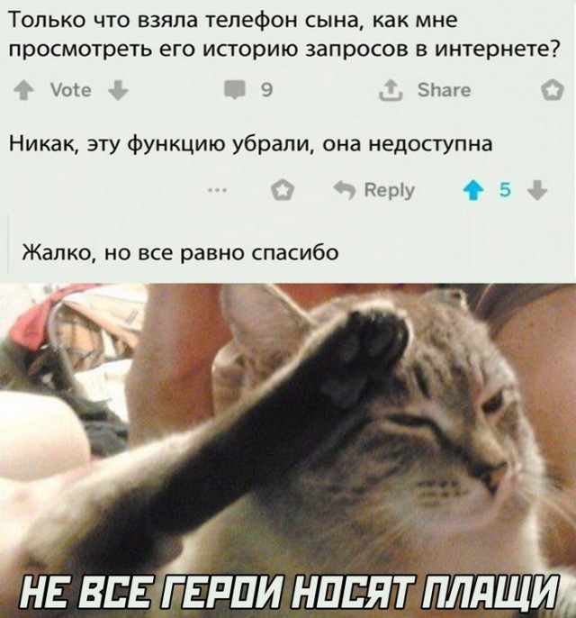 Забавные комментарии из социальных сетей (14.02.22)